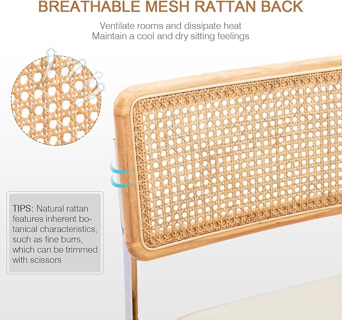 Zesthouse Natural Rattan Dining Chairs Set of 6, Mid Century Cane Dining Room - Image 3