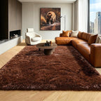 Brown 6x9 Area Rugs for Living Room Bedroom, Large Fluffy Bedside Throw Rug by ONASAR