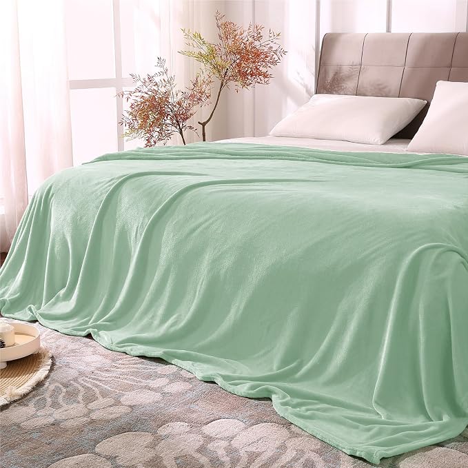 BEDELITE Fleece Blanket Soft Plush King Bed Blanket Mint Green 108"x90" | Ultra by BEDELITE
