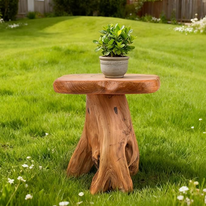 Small Side Table, Freeform Live Edge Wood Stool, Unique Design Natural Plant - Image 4