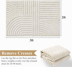 Pauwer 2x3 Area Rugs for Living Room, Modern Non Slip Washable Rug, Soft Fluffy - Image 2