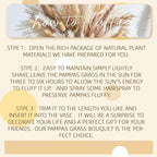 Natural Pampas Grass Mix Bouquet | Dried Pampas Bouquet - Image 5