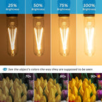 Dimmable E26 T30 T10 LED Bulb Long Tube Light Bulb 4W, Type T Tubular Light - Image 2