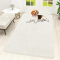 OLANLY Dog Door Mat for Muddy Paws 59x32, Super Absorbent Chenille Mud Mat | by OLANLY