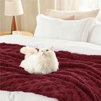 Bedsure GentleSoft Burgundy Throw Blanket - Image 4