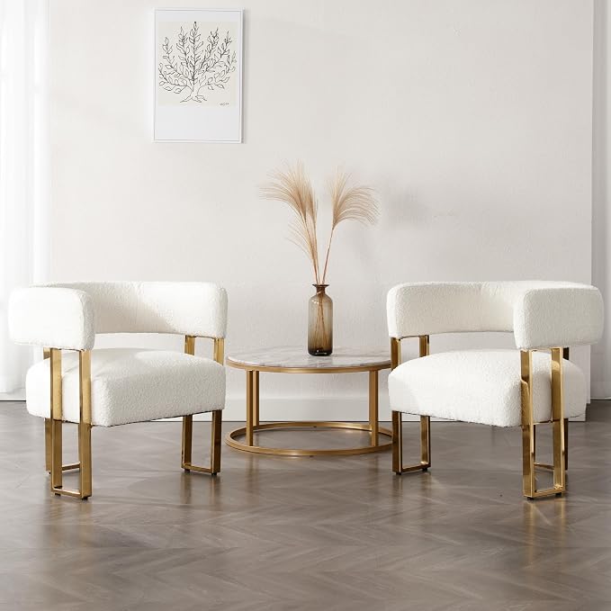 Barrel Accent Chairs Set of 2, Modern Side Chair by DMFurniture