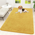 OLANLY Dog Door Mat for Muddy Paws 59x35, Super Absorbent Chenille Mud Mat | by OLANLY