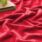 BEDELITE Fleece Blanket Soft Plush Throw - Image 3