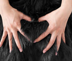 SERISSA 4x6 Fluffy Black Faux Fur Area Rug - Image 7