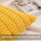 Aegero Pack of 2 Corduroy Decorative Throw Pillow Covers 12x20 Inch - Image 3