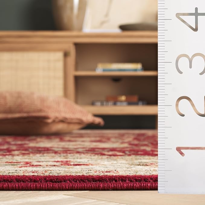 SAFAVIEH Lyndhurst Collection X-Large Area Rug - Image 4