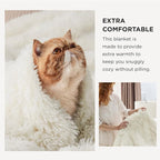 Bedsure GentleSoft Fluffy Cream Blankets Queen Size - Image 3
