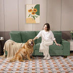 DOPEDIO Modern Loveseat Sofa for Living Room, Chenille Recliner, Removable Cover - Image 5