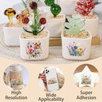 4 Sheets Rub on Transfers for Crafts, Flowers and Butterflies Furniture - Image 4
