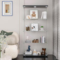 FANYUSHOW Glass Display Cabinet by FANYUSHOW