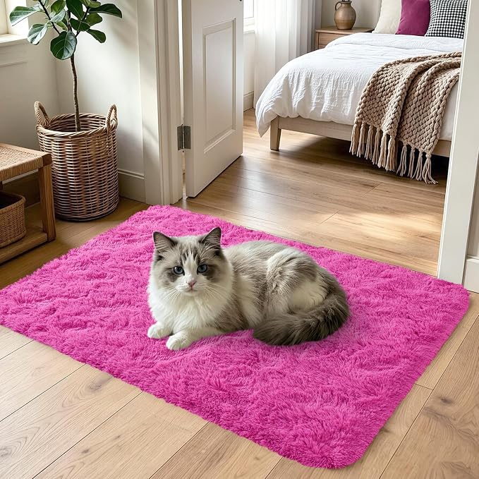 Noahas 3x5 Hot Pink Fluffy Soft Area Rug Non-Slip - Image 2