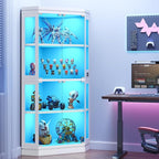 Jocoevol Corner Display Cabinet - Image 3