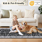 HEBE Indoor Door Mat 2'x3', Washable Welcome Mat - Image 7