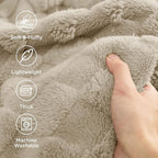 Bedsure GentleSoft Neutral Twin Blanket - Image 3