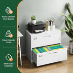 Letaya 2 Drawer Metal Filing Organization Office Cabinets - Image 7
