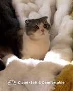 Ultra Soft Cozy Faux Fur Throw Blanket, Fuzzy Plush Thick Bubble Blanket - Image 3
