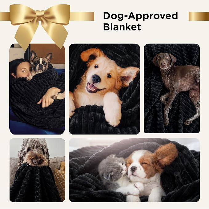 Bedsure Soft Black Throw Blanket - Image 3