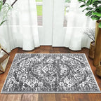 HEBE Indoor Door Mat 2'x3', Washable Welcome Mat - Image 7