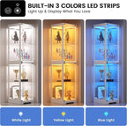Glass Display Cabinet with Doors, Bookcase - Image 3