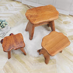 Natural Shape Solid Wood Stump Stool 20"x13"x18" Cedar Root End Table Rustic - Image 9