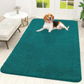 OLANLY Dog Door Mat for Muddy Paws 59x35, Super Absorbent Chenille Mud Mat | by OLANLY