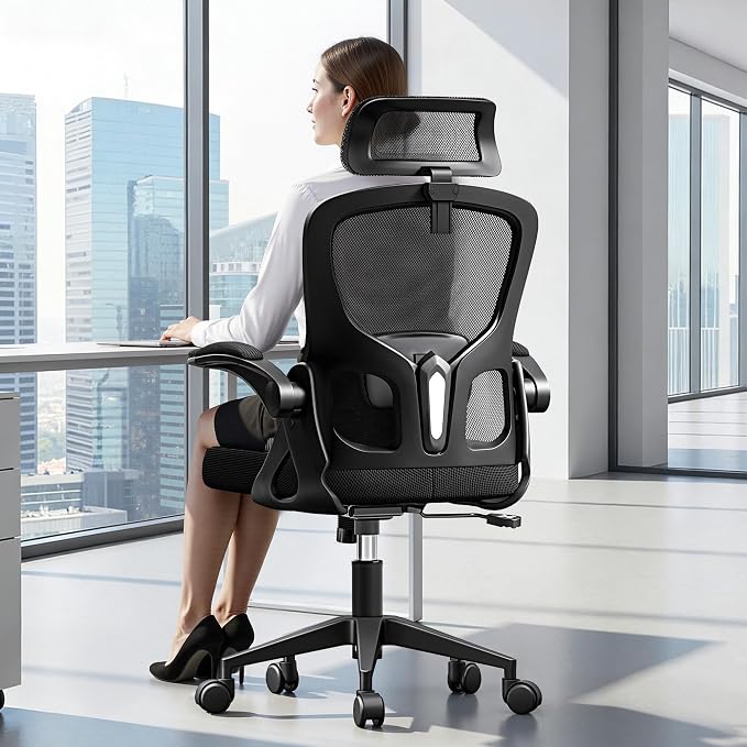 Ergonomic Office Chair, High Back Desk Chair by HeroSet