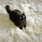 White Fluffy Washable Area Rugs - Image 6