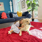 OLANLY Area Rugs for Living Room Bedroom, Machine Washable 4x5.9 ft Soft Fluffy - Image 5