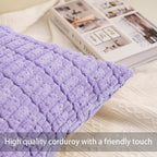 Aegero Pack of 2 Corduroy Decorative Throw Pillow Covers 18x18 Inch - Image 2