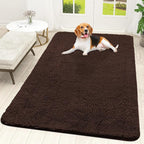 OLANLY Dog Door Mat for Muddy Paws 59x35, Super Absorbent Chenille Mud Mat | by OLANLY
