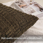 Aegero Pack of 2 Corduroy Decorative Throw Pillow Covers 12x20 Inch - Image 2