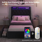 Twin LED Velvet Bed Frame with 2 Storage Drawers&Hidden Headboard, Upholstered - Image 6