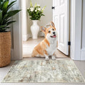 2x3 Rug Non Slip, Small Washable Entryway Rug, Runner by Restydon