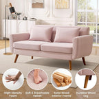 Tbfit 65" W Loveseat Sofa, Velvet Mid Century Modern Love Seat Couches - Image 7