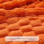 NEWCOSPLAY Fleece Clouds Cozy Queen Blanket - Image 5