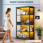 Jocoevol Display Cabinet with Glass Doors, 4-Tier Glass Display Case with Human - Image 4