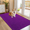 OLANLY Dog Door Mat for Muddy Paws 54x32, Super Absorbent Chenille Mud Mat | by OLANLY