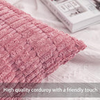 Aegero Pack of 2 Corduroy Decorative Throw Pillow Covers 20x20 Inch - Image 2