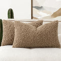 Faux Fur Throw Pillow Covers 20x12 Inch Set of 2 Boucle Neutral Decorative by Woaboy