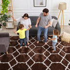 5x7 Area Rugs for Living Room Bedroom, Fluffy Brown and White Geometric Rug | - Image 3