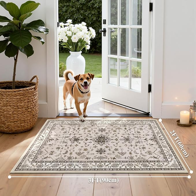 HEBE Indoor Door Mat 2'x3', Washable Welcome Mat - Image 2