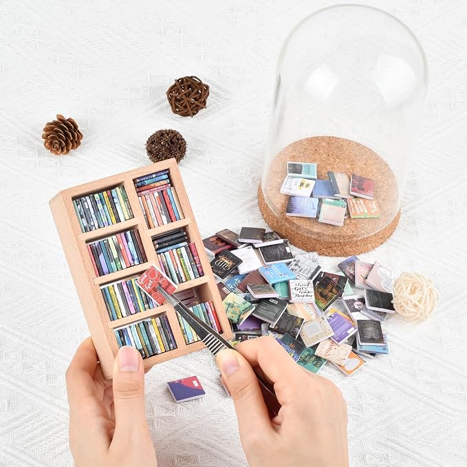 Anxiety Bookshelf, Miniature Bookcase, Mini Bookshelves - Image 4