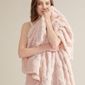 Bedsure GentleSoft Blankets Queen Size by Unknown