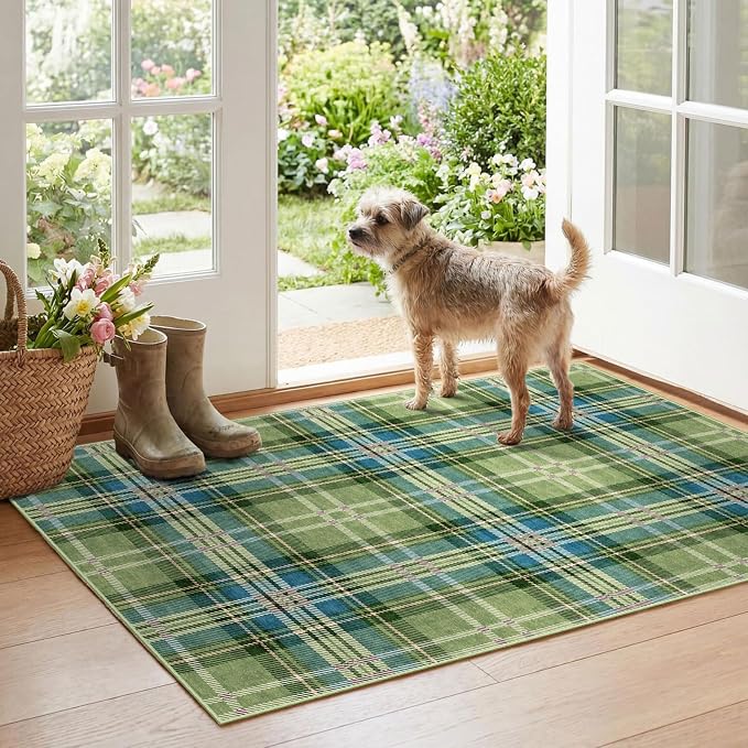 Plaid Outdoor Rug by Othilic