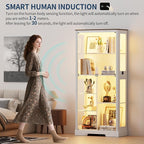 HNEBC 71'' Display Cabinet - Image 5